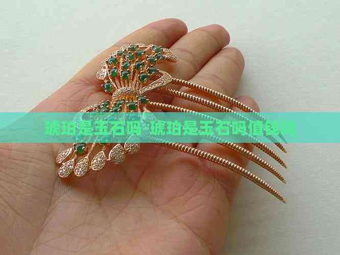 琥珀是玉石吗？琥珀的价值与市场前景解析
