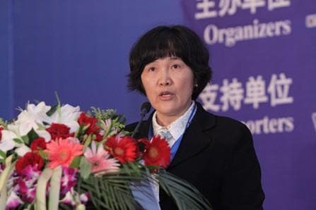中国企业会计准则建设及其国际趋同的成就与展望
