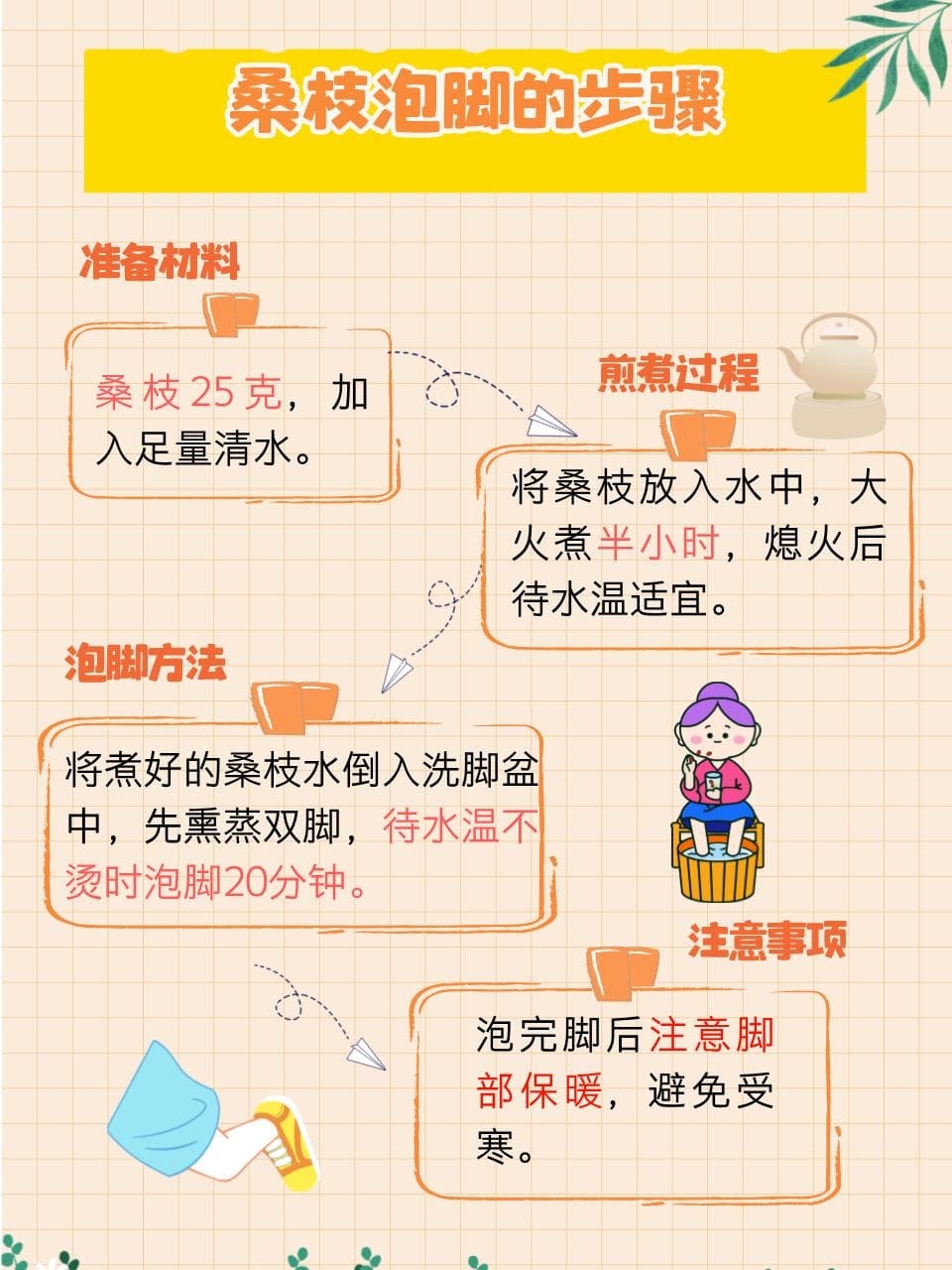 桑枝功效揭秘：养生宝藏，健康守护神