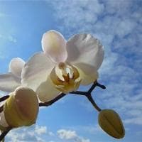 cmtd是什么网络