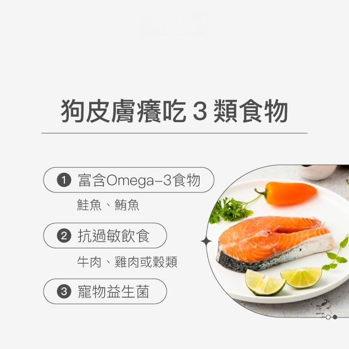 狗狗抓痒怎么办？专家解析五大原因及止痒方法