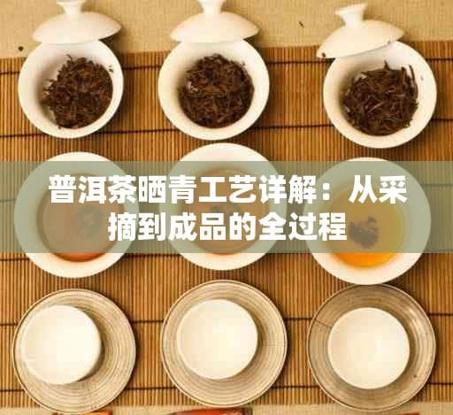 普洱茶晒青工艺详解：从采摘到成品的全过程