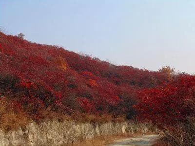 桐柏县十大旅游景点