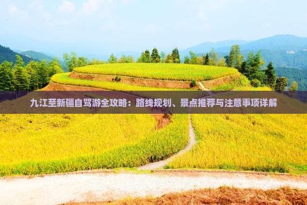 九江至新疆自驾游全攻略：路线规划、景点推荐与注意事项详解