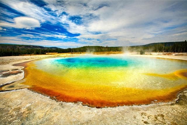 黄石公园温泉中的古老微生物揭示了生命进化的秘密