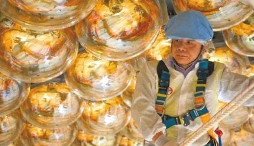 江门中微子实验领先美国5年，中国院士：做第一最重要，老二啥也不是