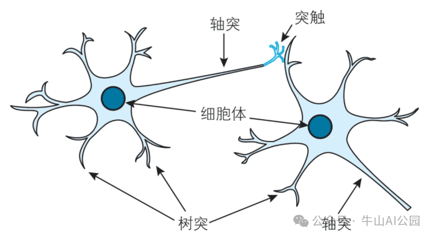 AI模型训练到底在训练什么？从零基础到精通，精通收藏这篇就够了！