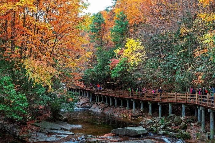 邛崃市旅游必去十大景点：从天台山到临邛古城，领略川西人文与自然之美