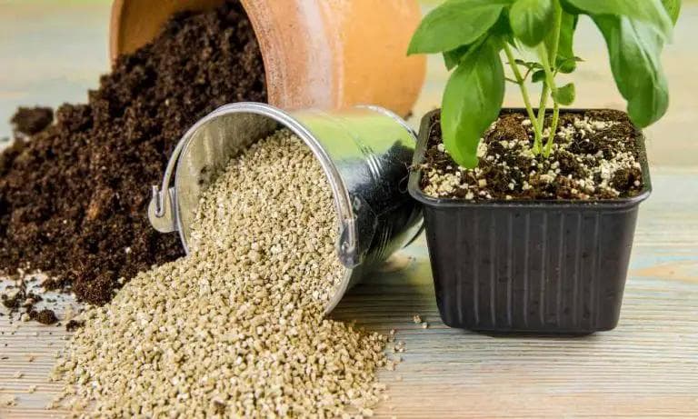 盆栽植物用土：蛭石｜像海綿一樣儲存水分的天然礦物！