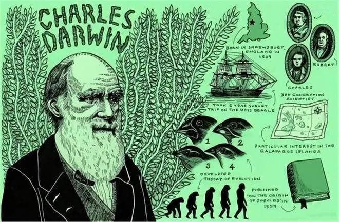 人类比猿少一对染色体，人类不是猿进化来的吗？难道进化论错了？