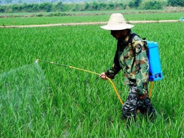 除草剂、杀虫剂、植物生长调节剂“三剂”用时要注意