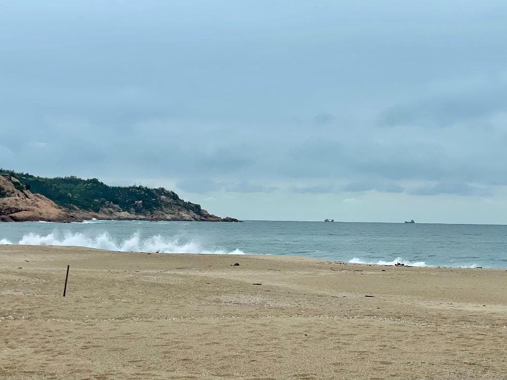 海龟也要洗澡？温度决定性别？到我国大陆海岸线上最后一张海龟“产床”大揭秘！