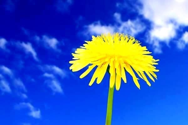 电力价格解析：什么是电力？如何影响电价？哪个因素最重要？
