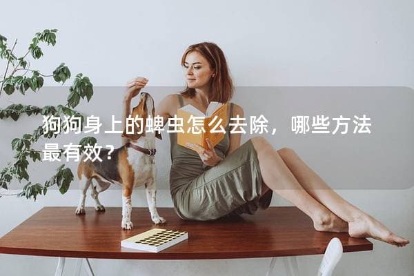 狗狗身上的蜱虫怎么去除，哪些方法最有效？