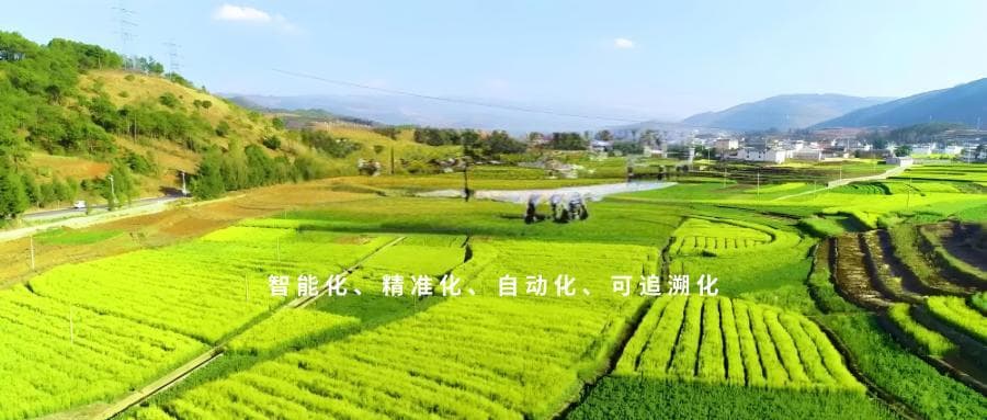 农业4.0：智能科技引领下的现代农业转型与发展