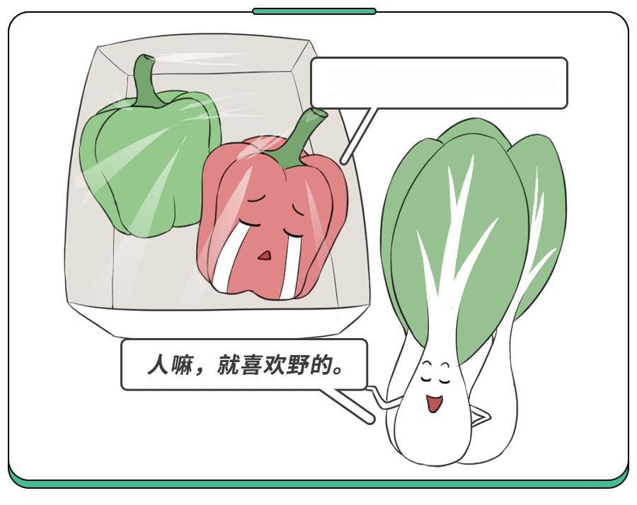 娃能吃野菜吗？这4种春季野菜，高钙有营养，专家都推荐