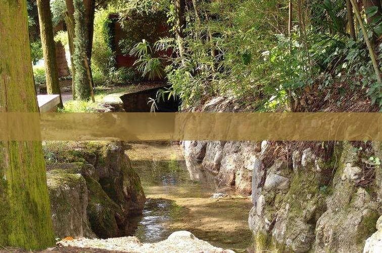 成都大熊猫基地领衔，四川这些动物园值得一去