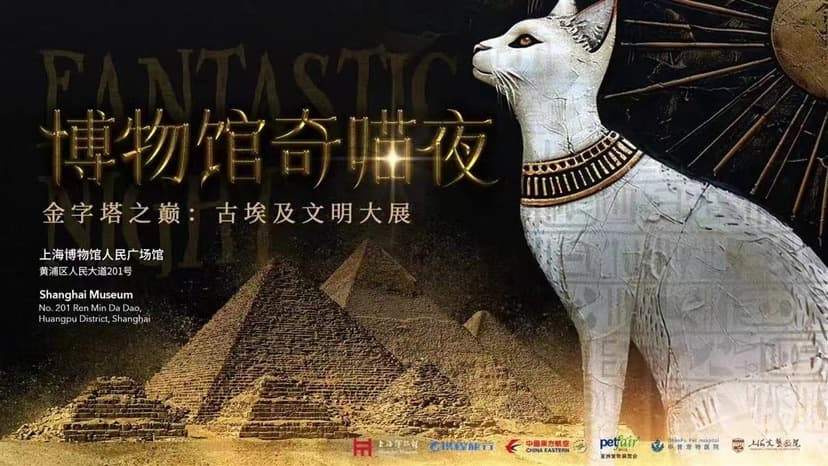 带猫咪看人文大展、带狗狗喝“爪布奇诺”，在上海“宠物友好”不只是口号