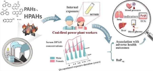 研究突破：首次揭示燃煤电厂工作人员体内HPAHs暴露水平与健康风险关联