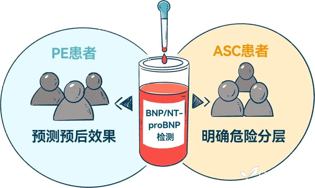 BNP/NT-pro BNP在急性胸痛诊断中的临床应用