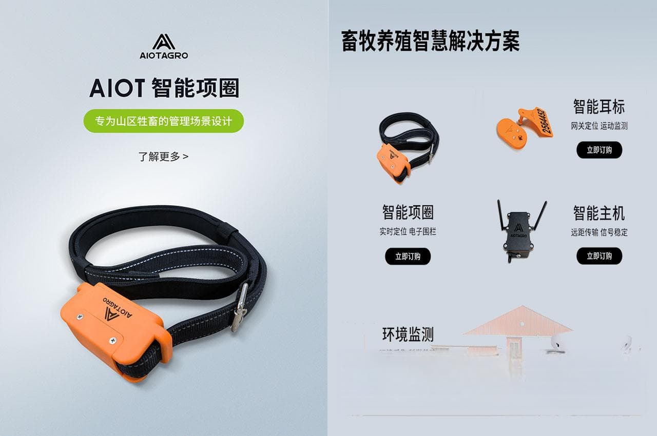 智能项圈：现代智慧畜牧业牛羊养殖的创新管理工具