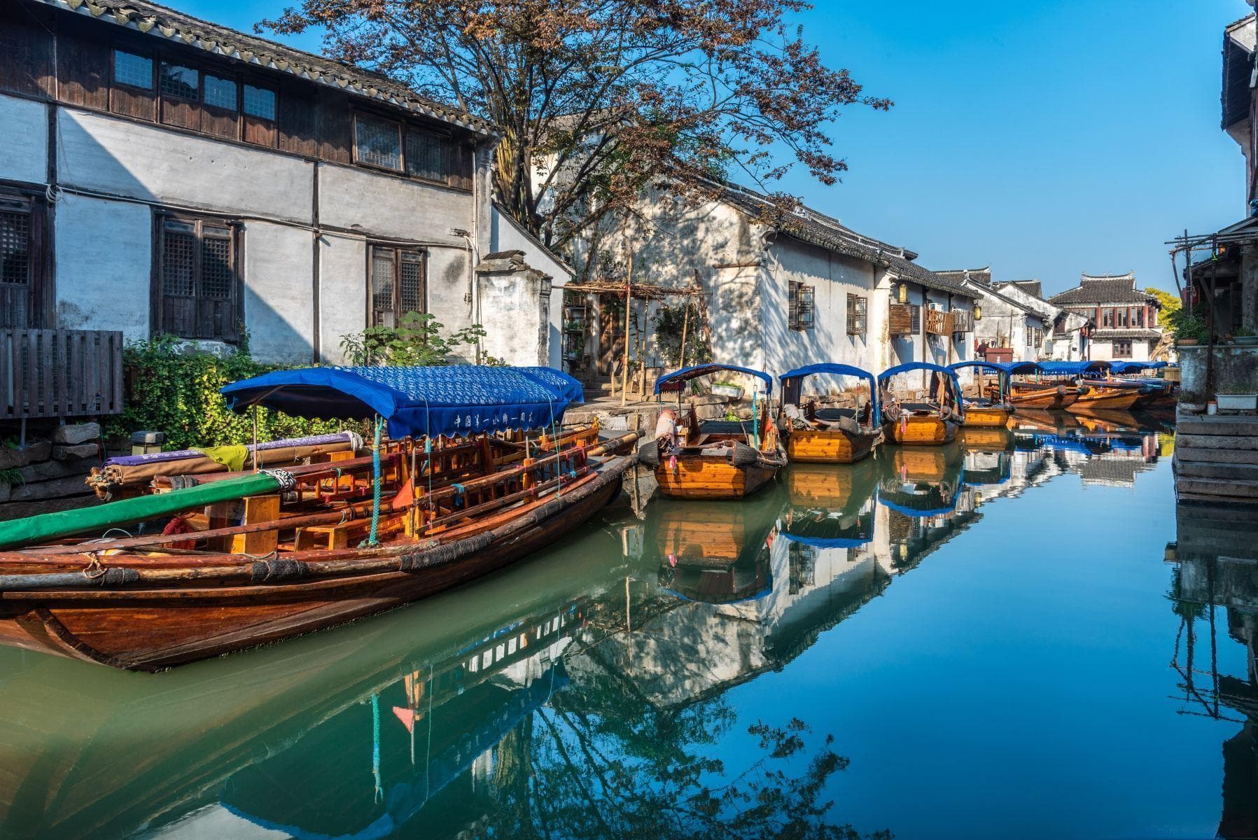 【周庄美食】2025周庄美食餐厅盘点！附当地景点推荐