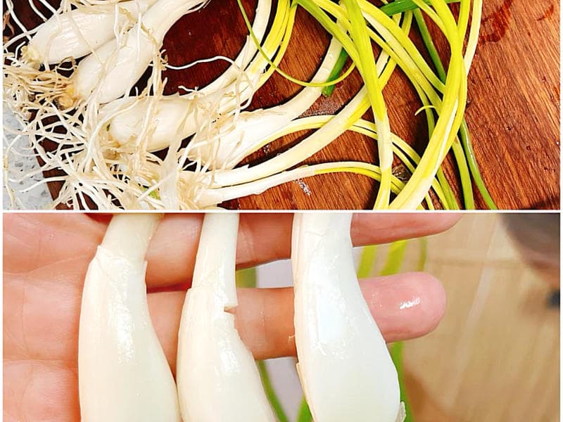 藠头炒腊肉，一道超级下饭的辣味春菜！