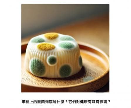 年糕上的霉菌是什么？如何辨别发霉与发酵？