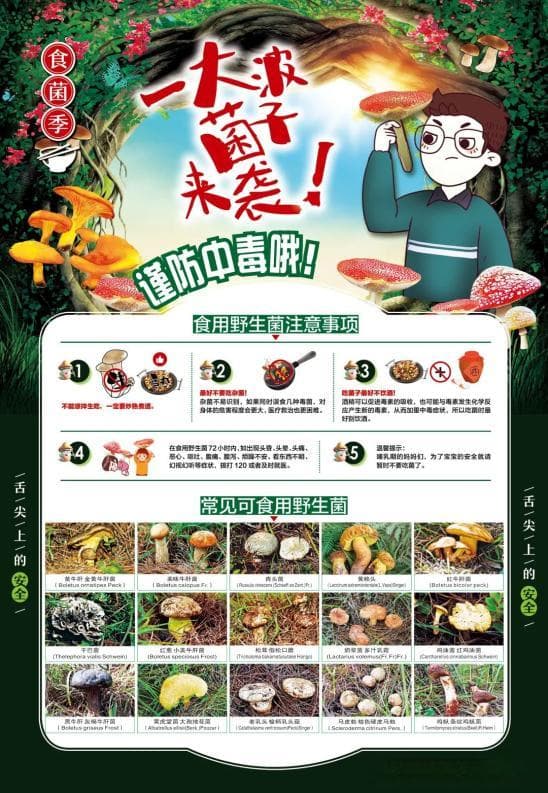 健康科普 | 远离毒蘑菇——预防野生菌中毒知识宣传