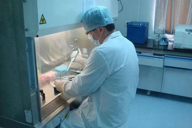 生物安全防护实验室的分级和防护措施