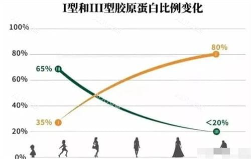胶原蛋白1型和三型什么区别啊？揭晓Ⅰ型和Ⅲ型胶原在注射部位、价格等方面差异