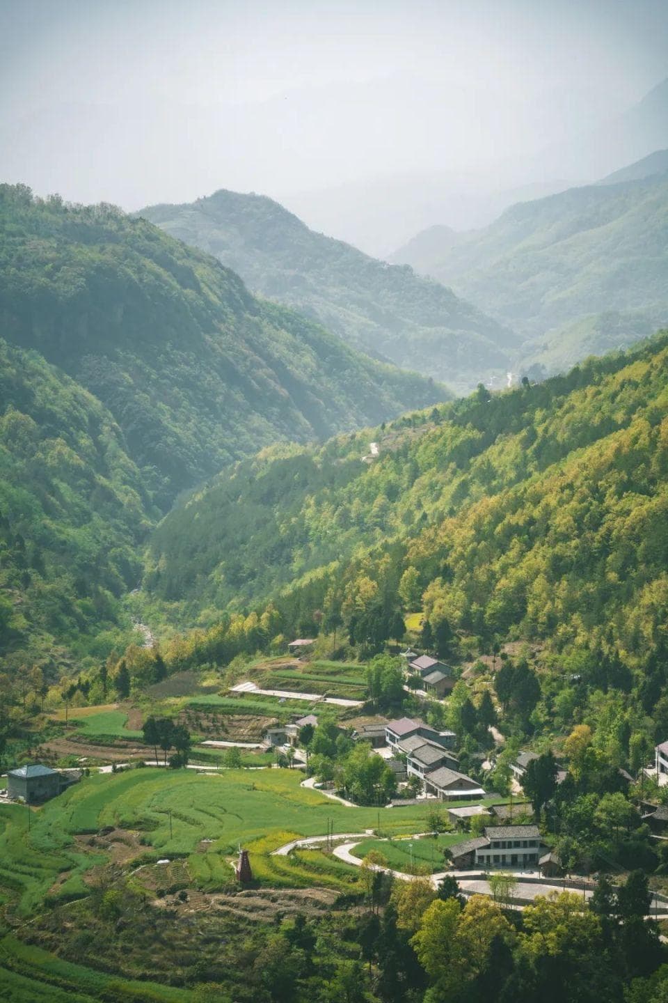 面向春山万里！向汉中这座小城出发，开启一场寻春之旅~