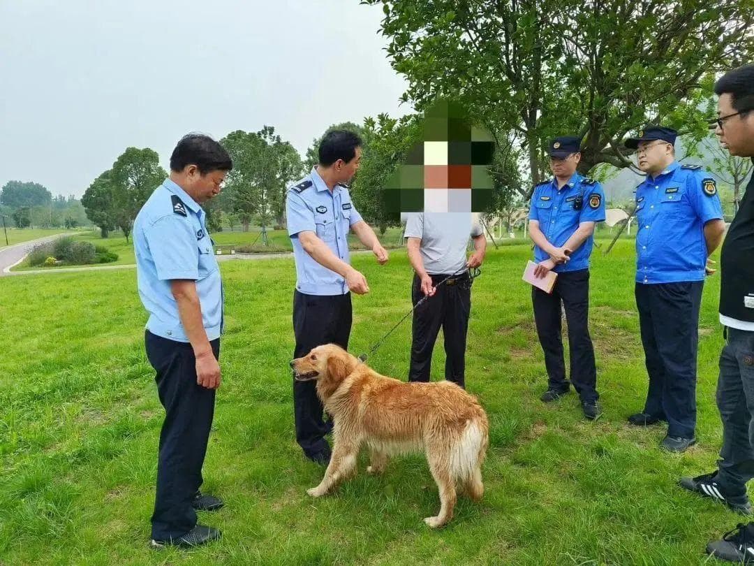 遛狗不牵绳，马鞍山正在集中整治！