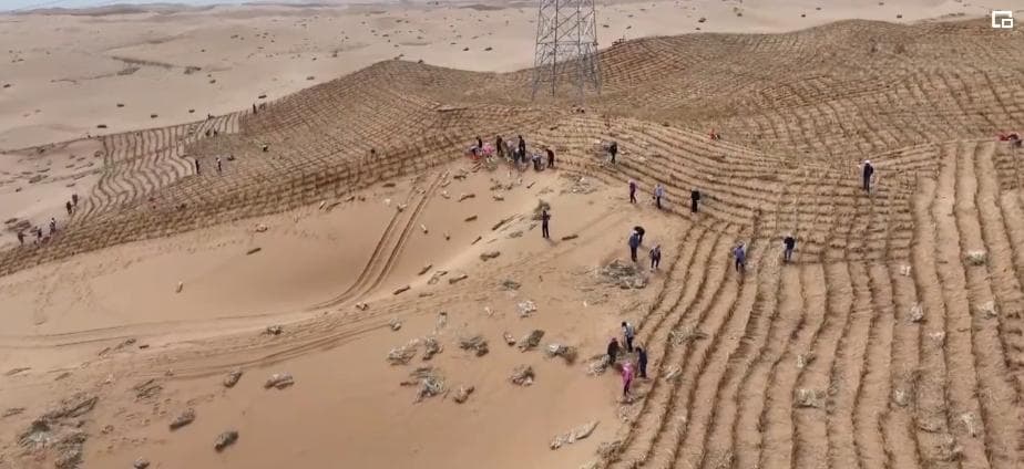 沙漠里放牧种地，安排！"新能源+治沙"让"黄皮肤"披新绿