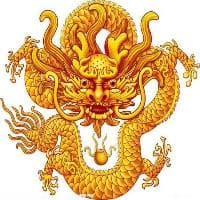 公牛真鲨真的会吃人吗？遇到鲨鱼攻击时该如何应对