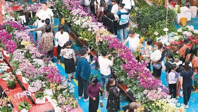 来云南，赴一场鲜花之旅