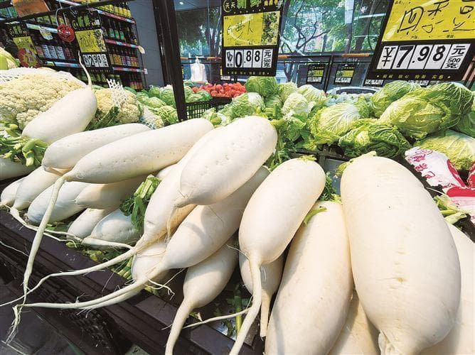 冬吃萝卜夏吃姜！这个季节该吃哪种萝卜？挑选指南来了→