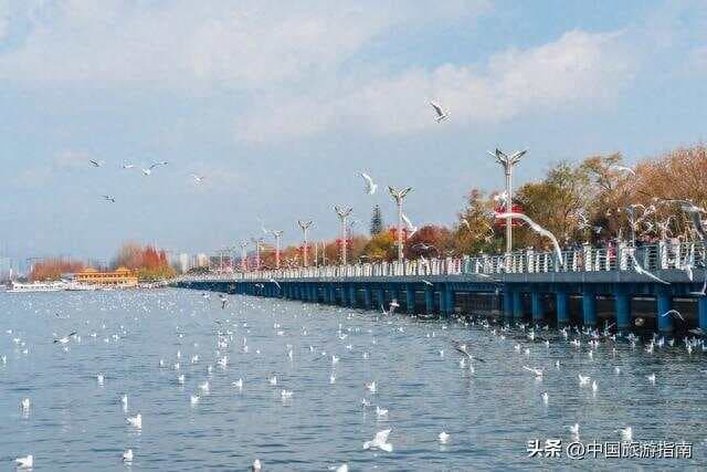昆明必去的16个地方，去过8个以上算合格，去过14个以上不简单！