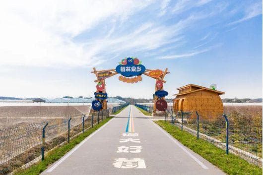 国家级荣誉！看江苏常州的农文旅融合“破圈”之路