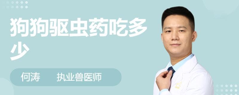 狗狗驱虫药吃多少