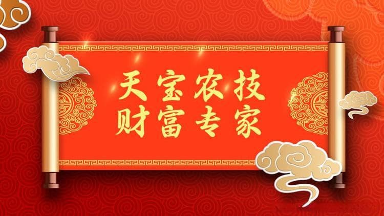 西红柿难缠病虫害及疑难杂症实战指导！