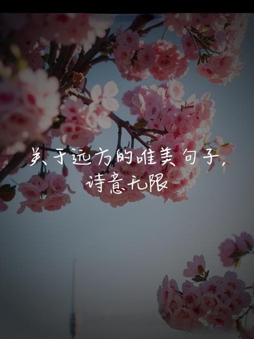 诗情画意的句子有哪些？：瞬间提升你的表达魅力！