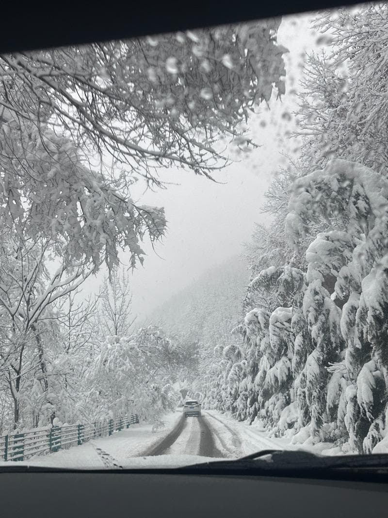 自驾返乡遇暴雪：2小时车程开了24小时，电车不敢开空调，有人饿2天才吃上饭