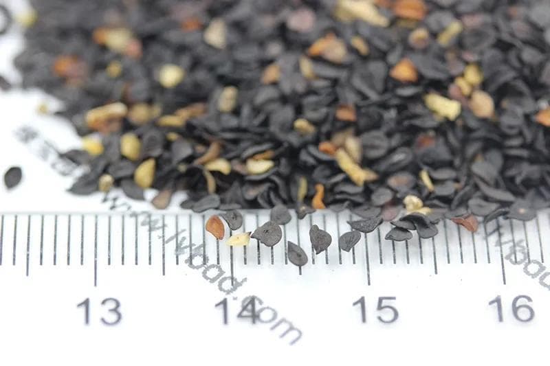 太阳花用什么土种植最好