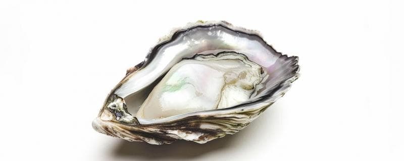 生蚝清洗全攻略：如何快速去除黏液和沙粒