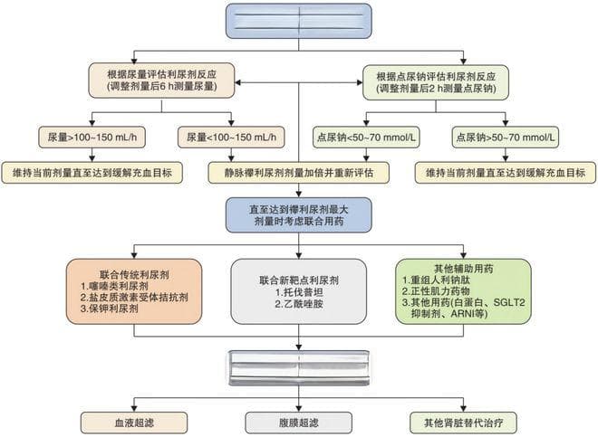 心衰利尿剂抵抗的处理，最新共识划重点~