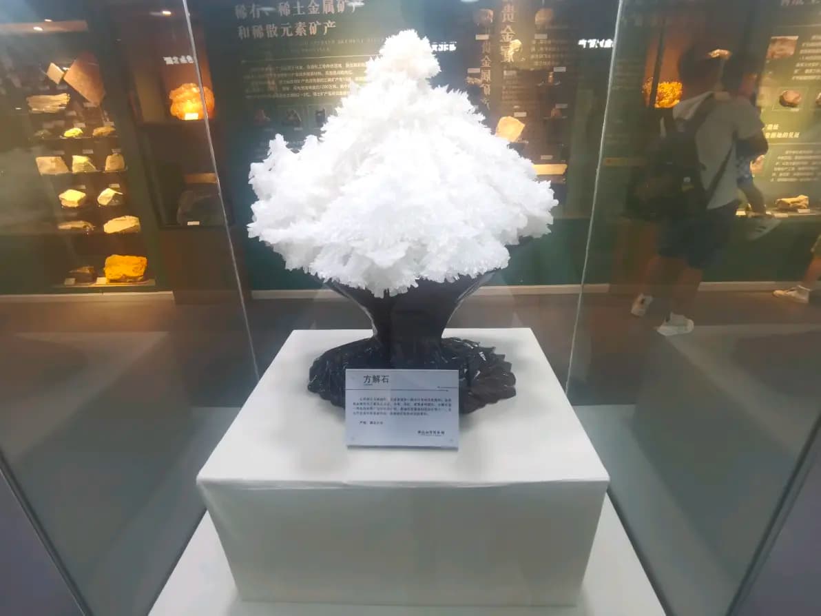 别让短视频“偷走”你的精气神