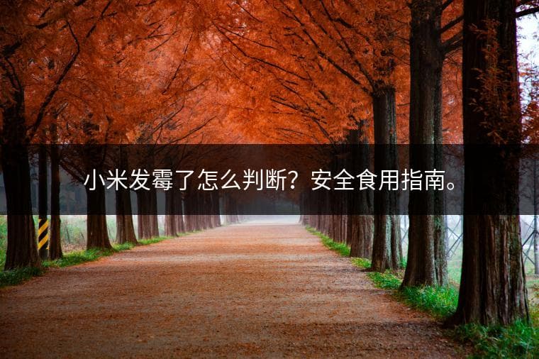 小米发霉了怎么判断？安全食用指南。