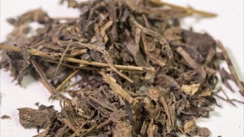 大青叶的功效与作用有哪些