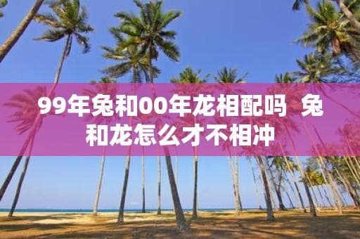 克服生肖相冲：99年兔与00年龙的和谐之道